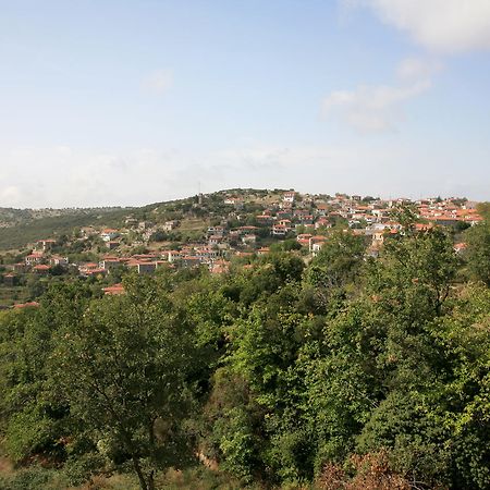 Arhontiko Parnona Hotel Karyes Luaran gambar