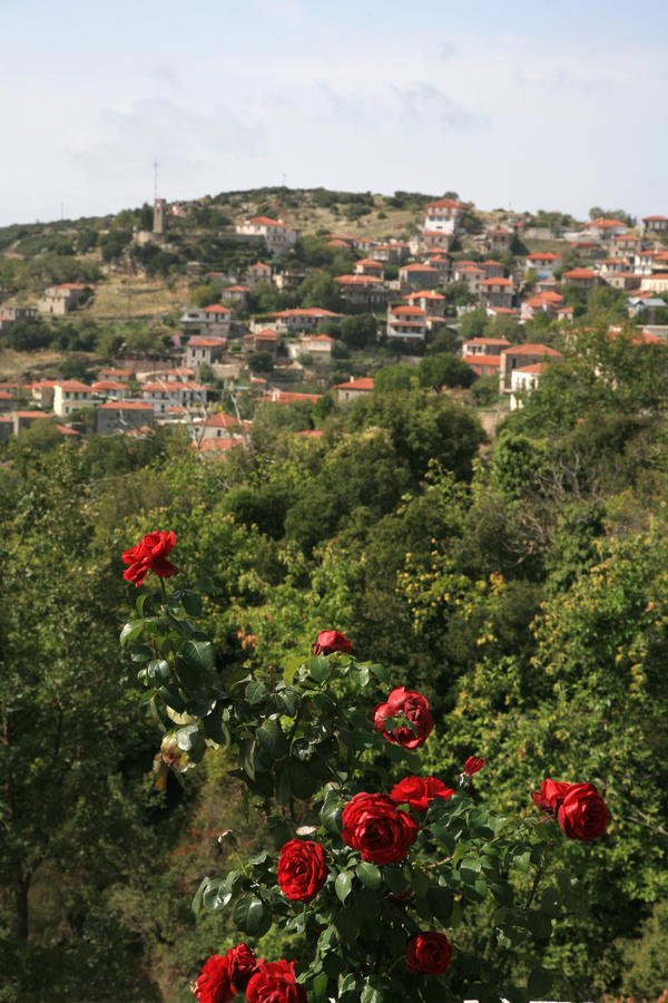 Arhontiko Parnona Hotel Karyes Luaran gambar